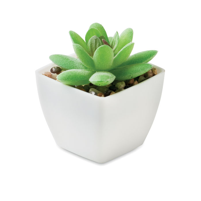 Mini sztuczna roślina — graptopetalum — Biały